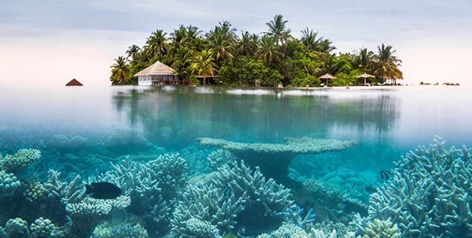 коралловый риф, карта коралловых рифов