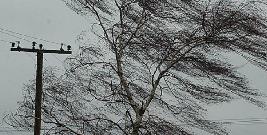 Фото из открытого источника