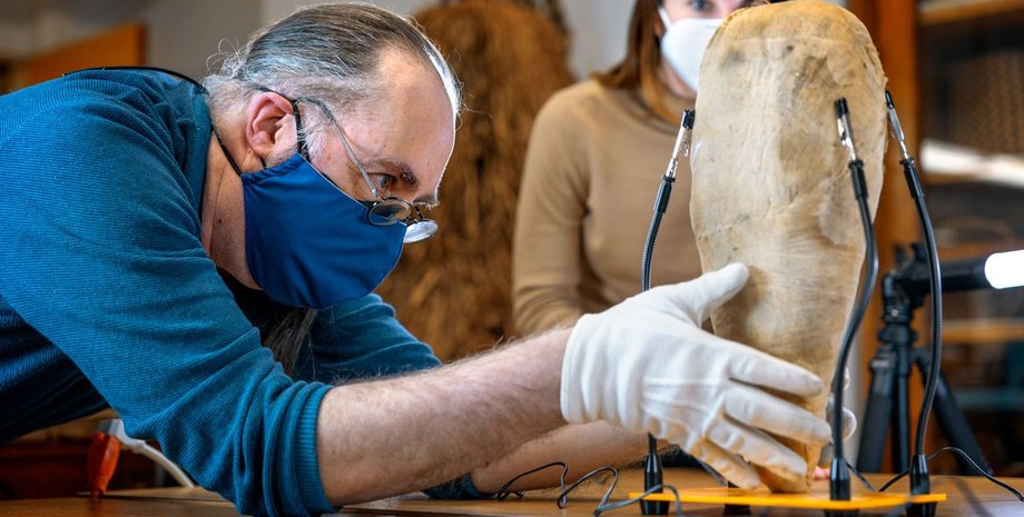 ученые, птица, мумия, фото