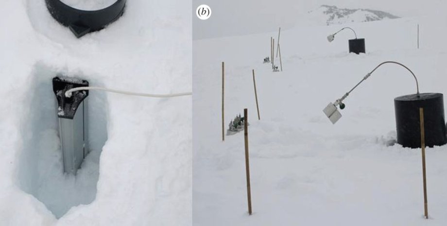 Выслеживание микробов в полярном снеге / Фото: rsif.royalsocietypublishing.org