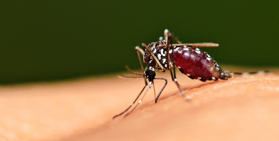 Фото: wired.co.uk