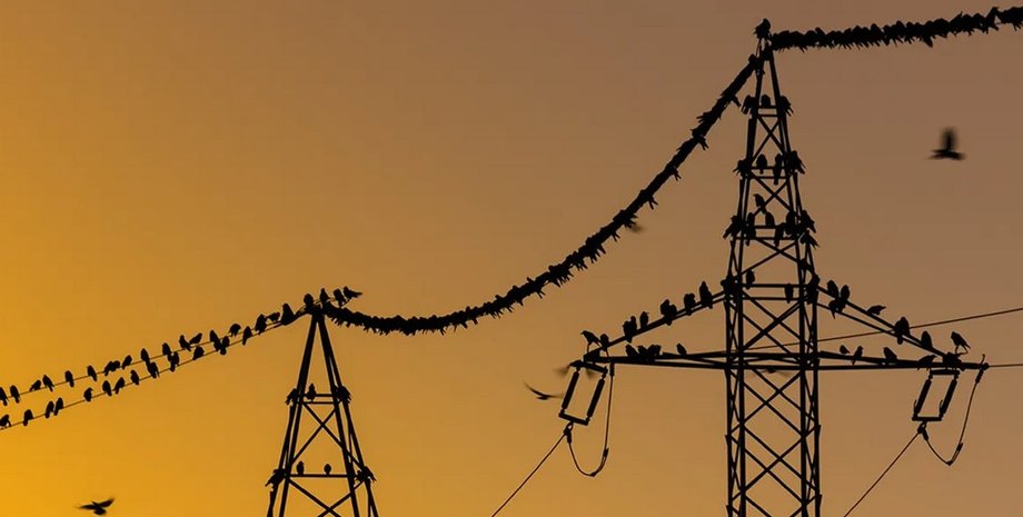 линия электропередачи, почему птиц не бьет током