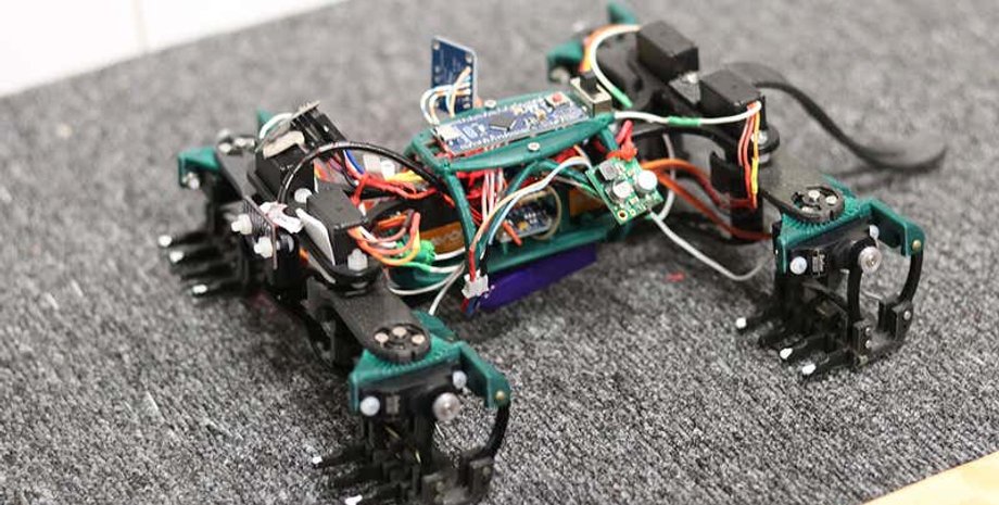 робот может выполнять те же функции, что и настоящая ящерица