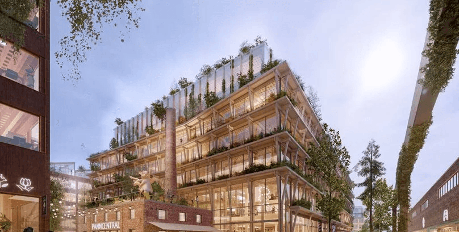 Город из дерева, офисы, жилые дома, построили из дерева, термиты, пожары, проект города, построят к 2027 году, здания