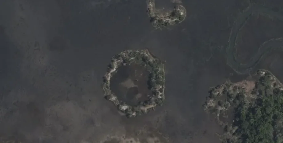 ракушки, археология, археологи, община, Америка, исследования, коренное население, моллюски, устрицы, побережье, океан, уровень моря, ученые