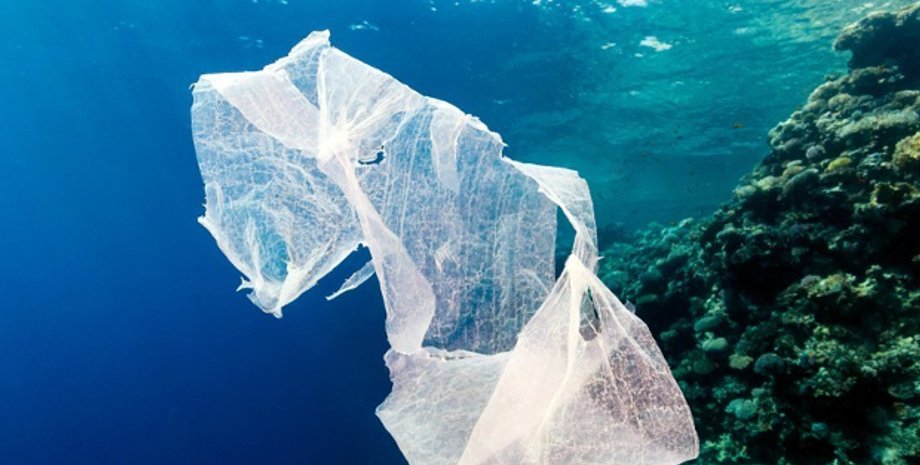 Фото: Lamb et al. / Science, 2018