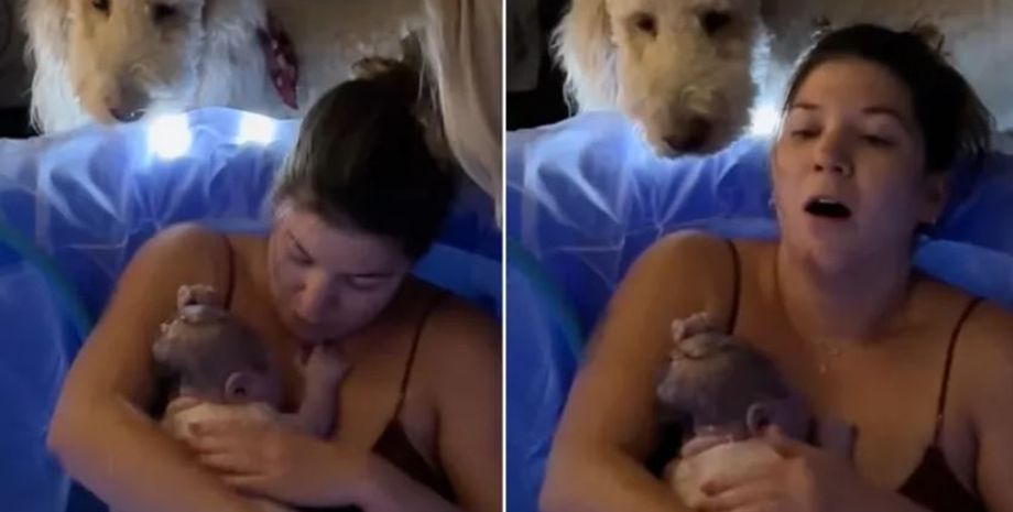 Народження, пологи, діти, курйози, цікавинки, дивні випадки з життя, собака, домашні тварини