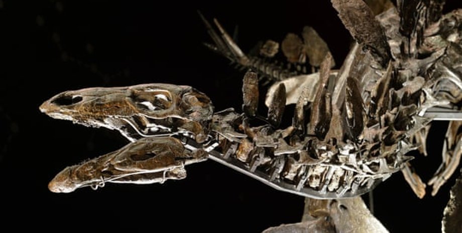 Стегозавр. Фото: John Stillwell/PA