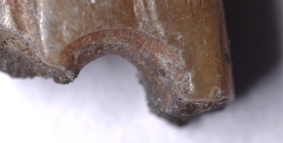 камінь, голка, артефакти, дослідники, Тибет, шиття, знахідка, археологи, археологія, червоний, Китай, відкриття