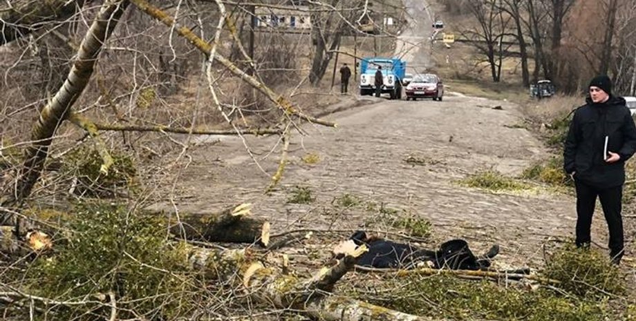 Фото: Хмельник-инфо