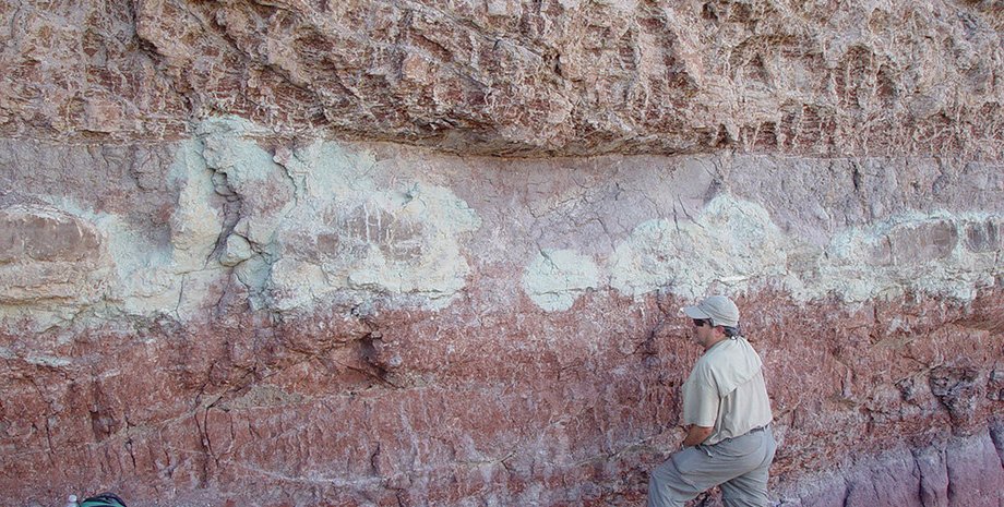 Ютараптор, динозавр, скам'янілості, формація Кедрових гір, шари гірських порід, епізод глобальних змін, Вейсертська подія, кристали циркону, стабільні ізотопи вуглецю, Юрський період, Крейдяний період, історія еволюції, древні тварини