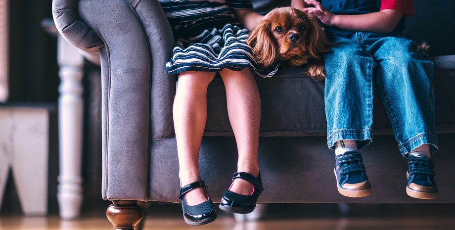 Ребенок и собака