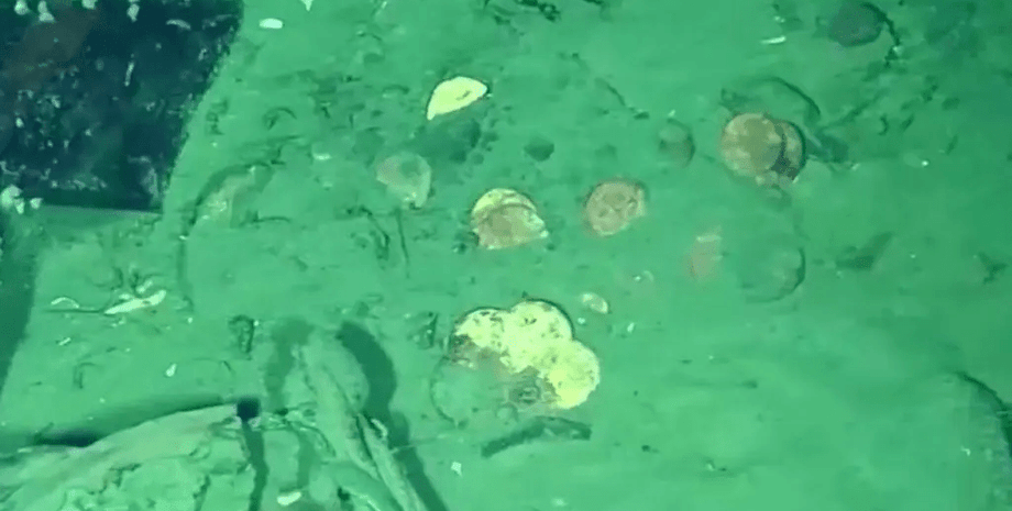 монети, пісок, фото