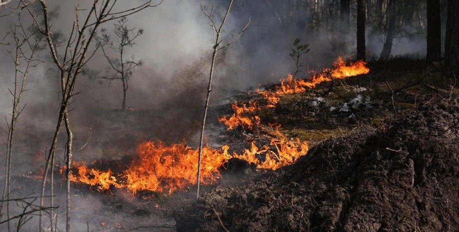 Ліквідація пожежі у лісі Чорнобильської зони 8 травня