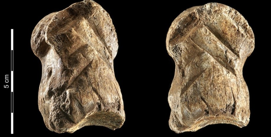 кістка оленя, найдавніше твір мистецтва в світі, неандертальці, печера єдинорога