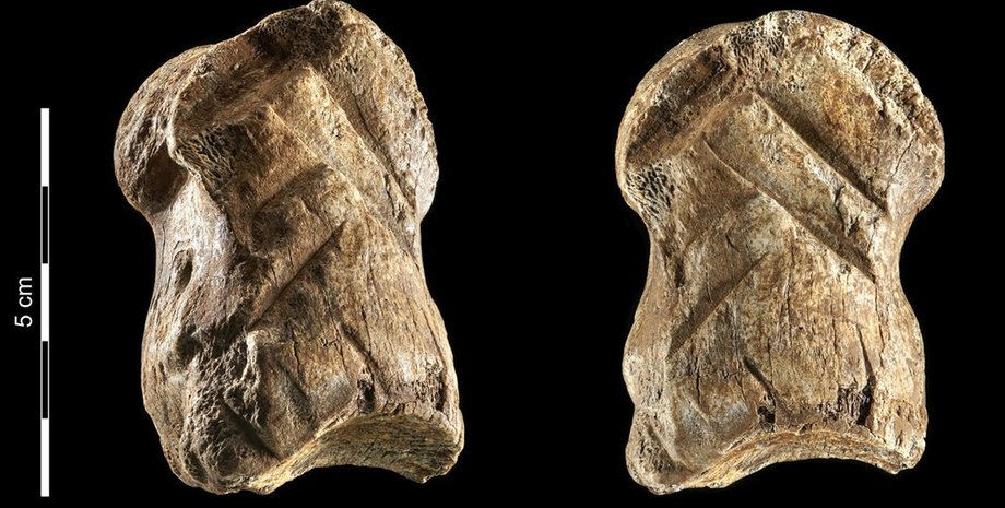 кость оленя, древнейшее произведение искусства в мире, неандертальцы, пещера единорога