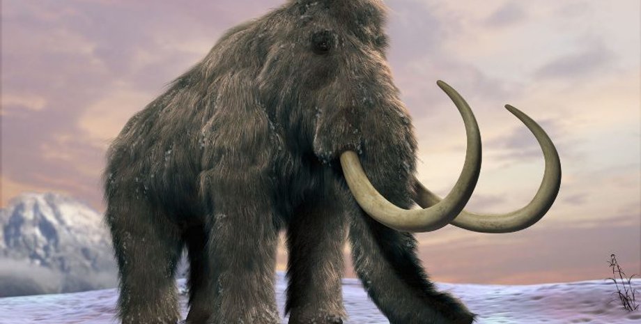 Из открытых источников