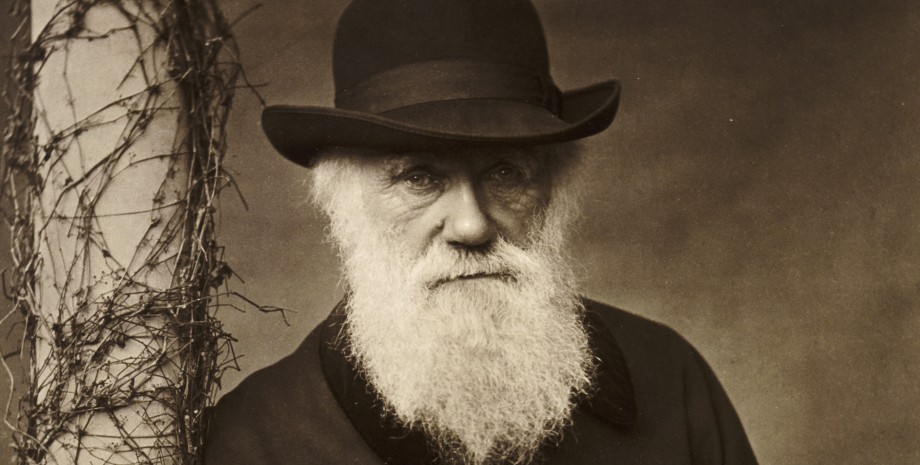 Дарвин, книги, библиотека, каталог, журнал, статья, наука, научный труд, ученый, естествоиспытатель, Интернет, источник, коллекция, предмет, философ, творчество, исследование, Darwin Online