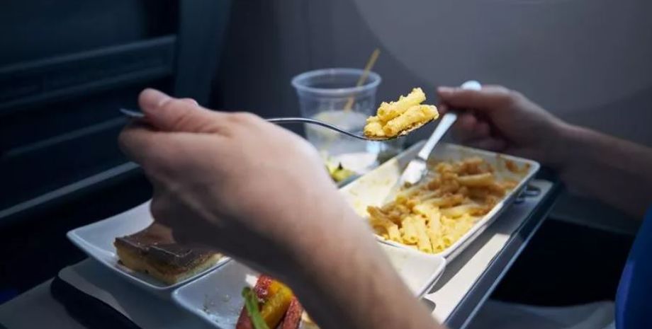 Самолет авиакомпании Scandinavian Airlines, аварийная посадка из-за мыши, лайнер, курьезы, туризм, путешествия