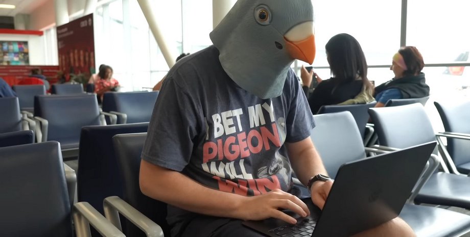 маска голубя, аэропорт