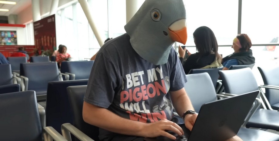 маска голубя, аэропорт