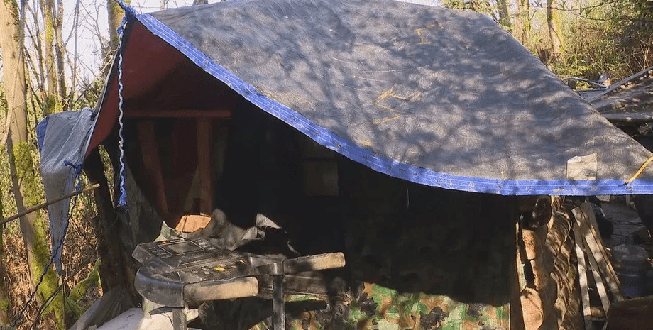 Хижина в парке в США, бездомный, парк, деньги, ищет золото, алмазы, полиция, городской совет, волонтеры, вырыл шахту, хижина