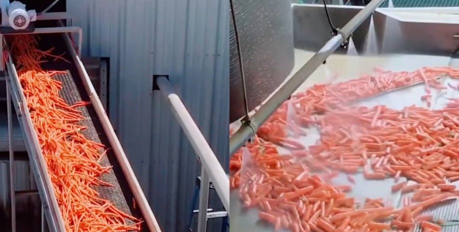 Маленькая морковь, мини-морковь, как делают маленькую морковь, откуда на самом деле берется мини-морковь, перекус, как делают морковь