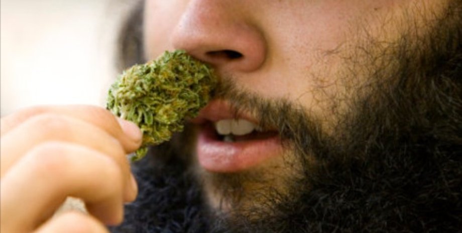 Марихуана / Фото: Weedy.be