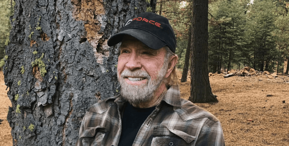 Чак Норрис, актер