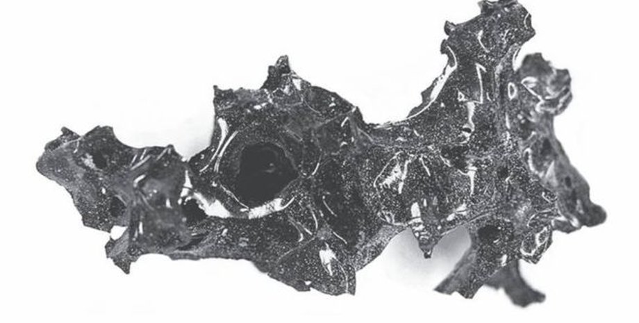 Остекленевший мозг. Фото: THE NEW ENGLAND JOURNAL OF MEDICINE/DR PIER PAOLO