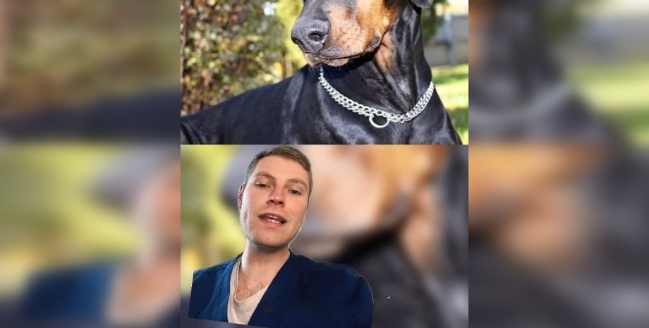 Ветеринар и породы собак, советы ветеринара, ветеринар породы, какую породу собаки завести, недостатки пород собак