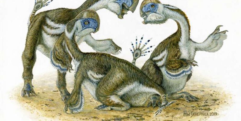 Иллюстрация: Michael W. Skrepnick