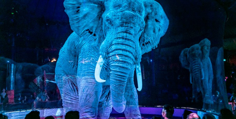 голограмма, слон, цирк