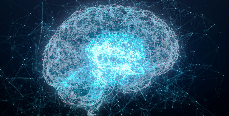 мозок, коронавірус