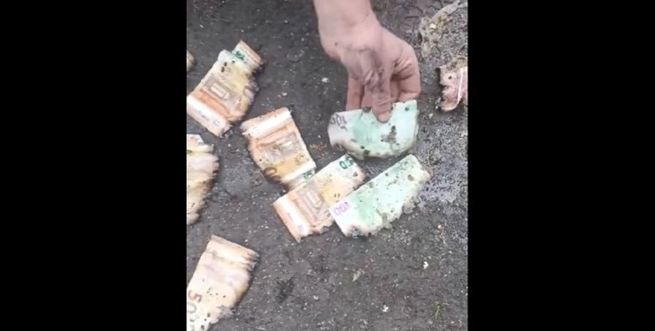 каналізацію забили купюрами, гроші в каналізації