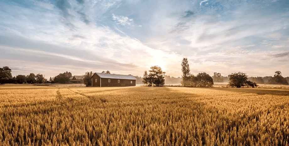 У ПАР вкритий дивною речовиною чоловік з'явився в полі і налякав жителів села Мбаула