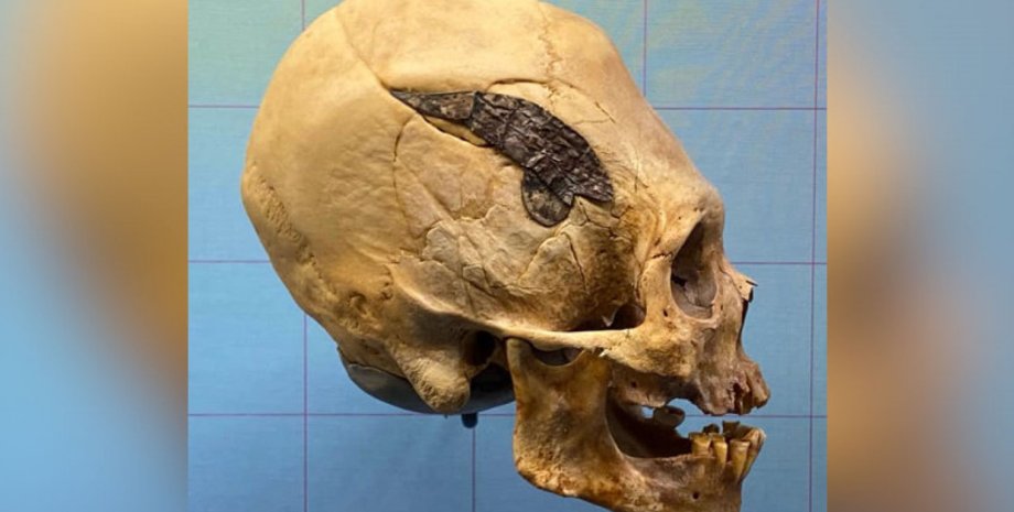 череп воина, комната, фото