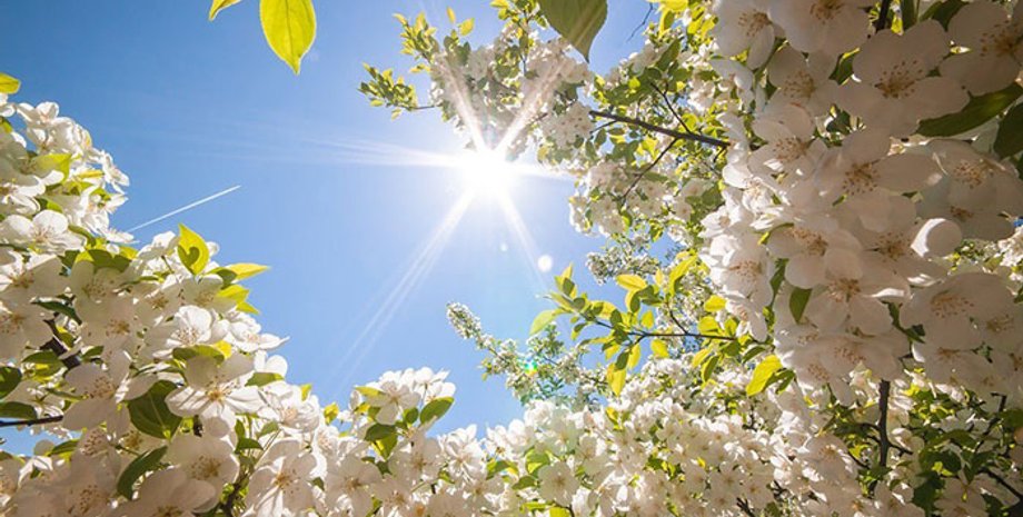 Фото: vsezdorovo.com