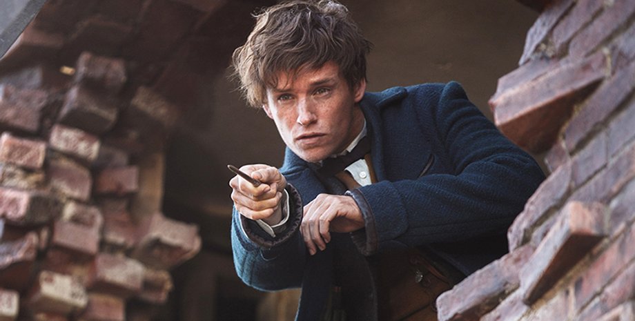 Кадр из фильма "Фантастические звери и места их обитания" / Фото: YouTube