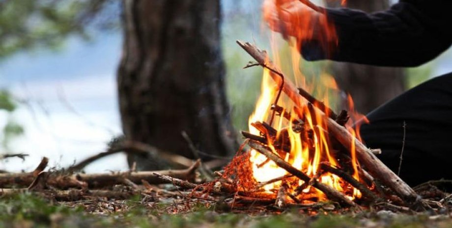 Фото с сайта "Дачный-двор.рф"