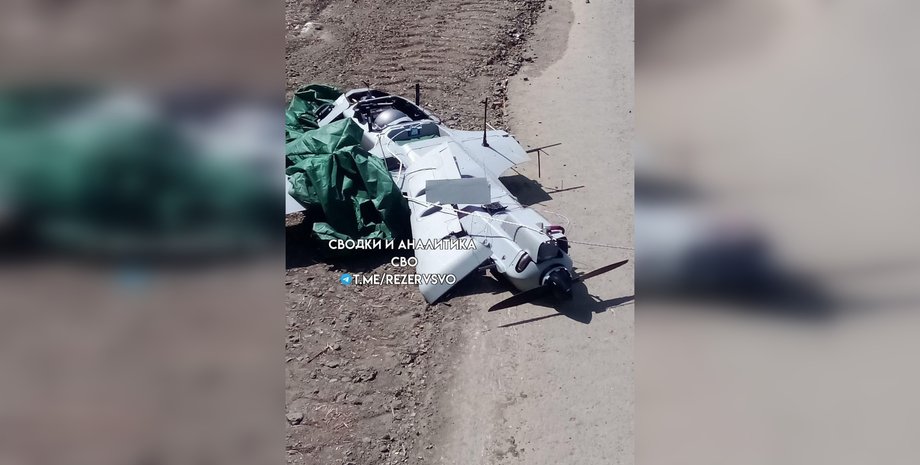 Tekever AR3, БЛПА, дрон, беспилотник, фото