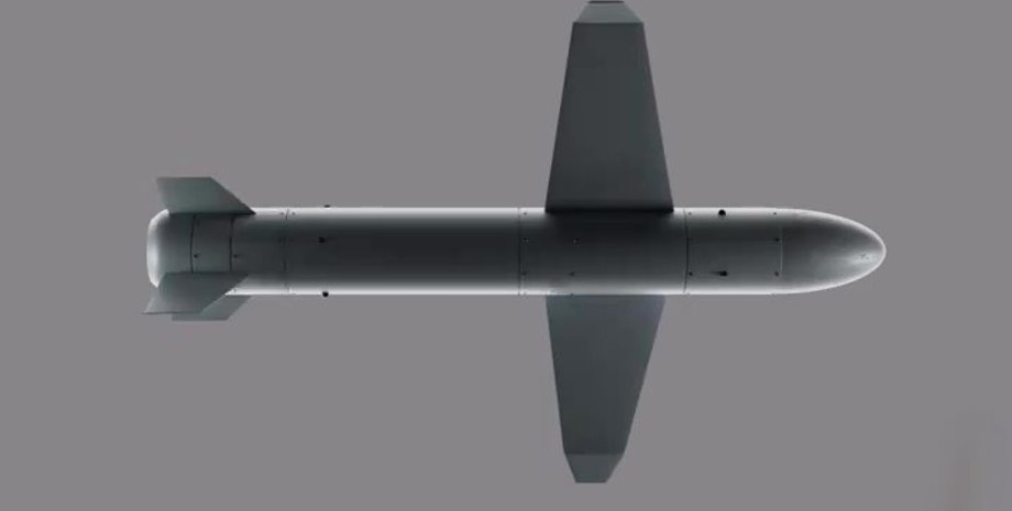 Дрон Паляниця