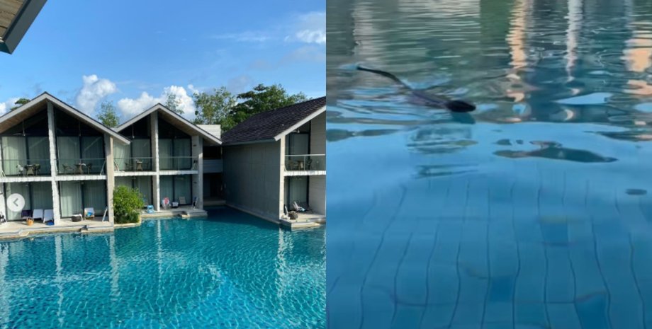 Величезна ящірка біля басейну налякала туристок зі США