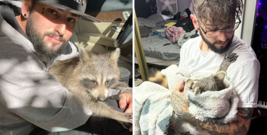 Енот чуть не украл у мужчины электронную сигарету, как это произошло, курьезное видео, прикол