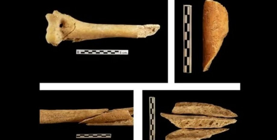 кости, захоронение эпохи неолита, Испания