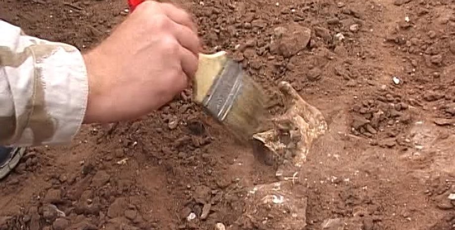 Фото с сайта gazeta.a42.ru