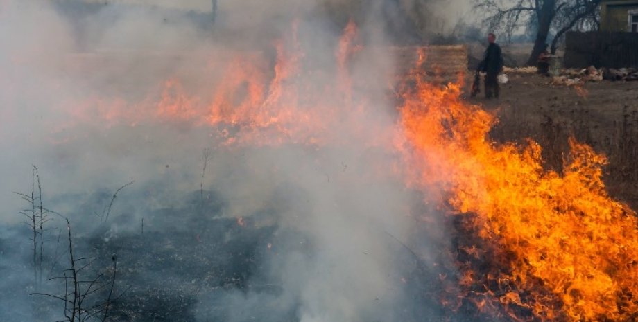Пожар в России / Фото: Greenpeace