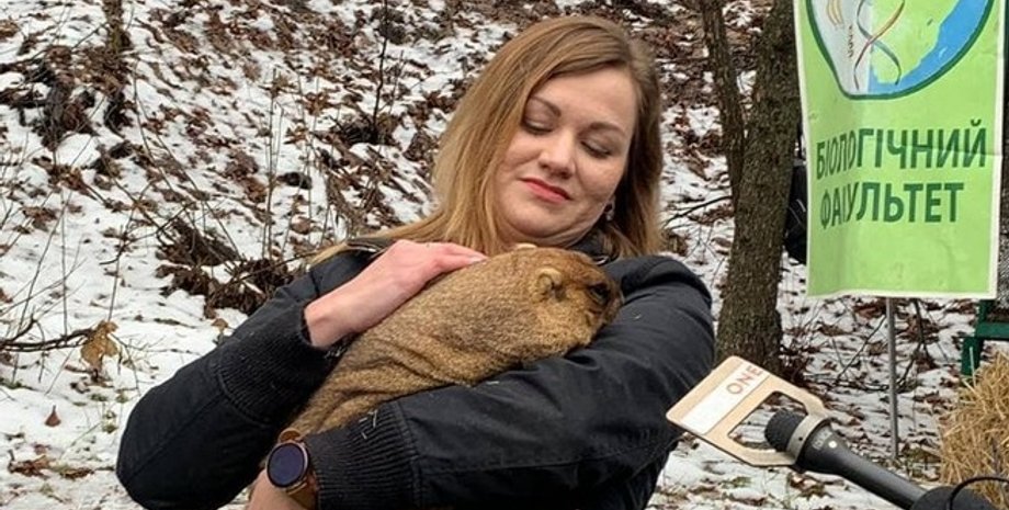 день сурка, погода, весна, Тимка, Тимка III