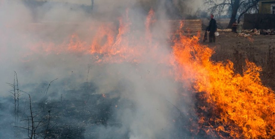 Пожар в России / Фото: Greenpeace