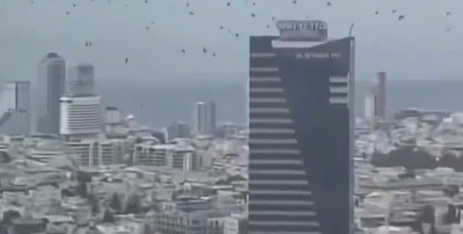 тель-авів ворони